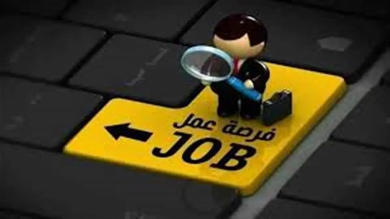 وظائف بـ10 آلاف جنيه عبر بوابة فرصنا التابعة لوزارة التضامن الاجتماعي